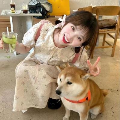 四季之春