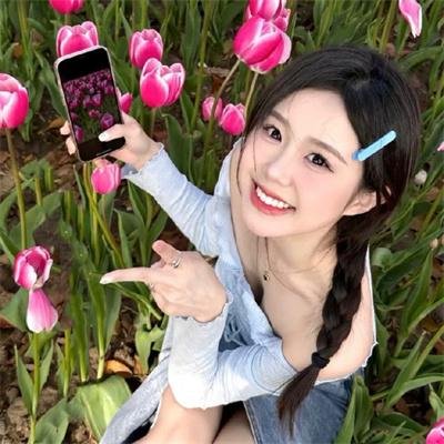 寂静的山林