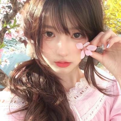鬣狗之城